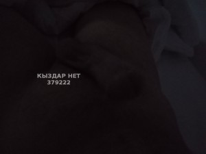 Жиголо Актобе Анкета №379222 Фотография №2953060