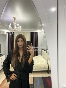 Транс Астаны Транс№458055 Анеля видио на продажу Фотография №3510231