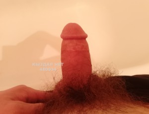 Жиголо Шымкента Анкета №480034 Фотография №3626340