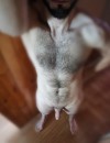 Фотография №3691853