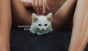 Проститутка Павлодара Девушка№8559 L A R A Астана до 29 мая Фотография №3703547