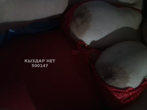 Проститутка Павлодара Девушка№500147 Амина Ждет Фотография №3761510