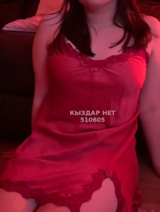 Проститутка Шымкента Анкета №510605 Фотография №3817872