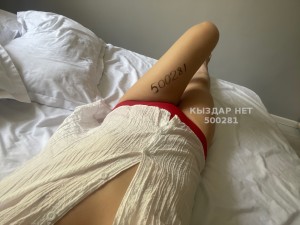Проститутка Шымкента Анкета №500281 Фотография №3819909